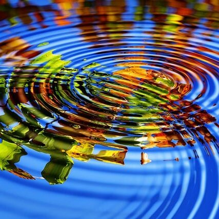 Leaves reflected in water ripple