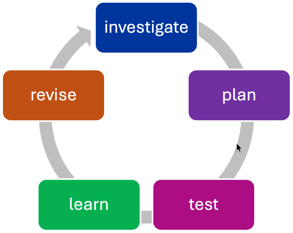 Developmental Evaluation Cycle