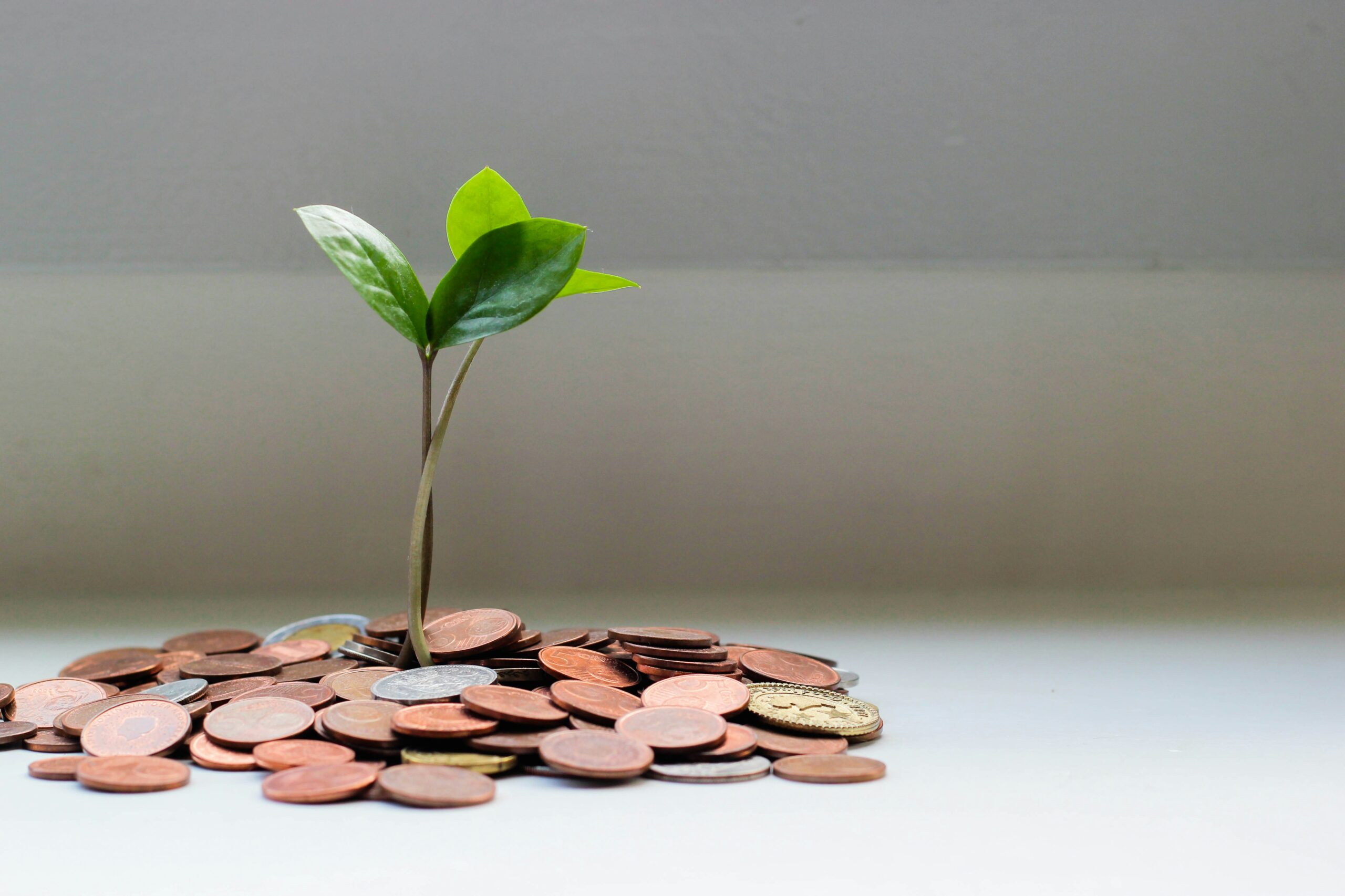 Do people understand what you want them to fund?